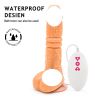 Adult Toy Six Toy Couple Av Head Attachment; Male Erection  USB Rechargeable Lifelike S~√™x toy for Women - Bullet Adult toy for Female U-Shape Couple
